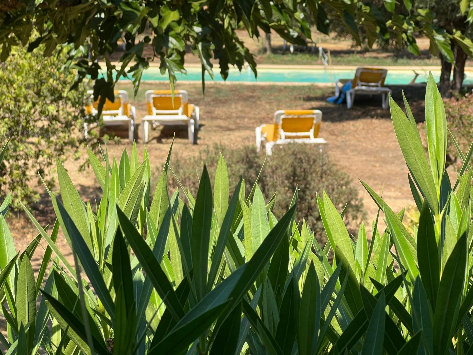 Gite Au Paradis, Parc Animalier Olmeta-di-Tuda Exterior foto