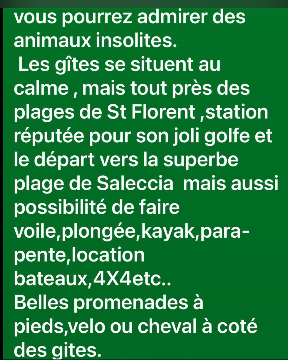 Gite Au Paradis, Parc Animalier Olmeta-di-Tuda Exterior foto